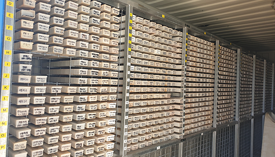 https://www.dynamicsgex.com.au/hubfs/Chiptray%20Racking%20for%20Sea%20Container/Chip_Tray_Racking_IWO1.png