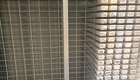 https://www.dynamicsgex.com.au/hubfs/Chiptray%20Racking%20for%20Sea%20Container/Chip_Tray_Racking_IWO2.png